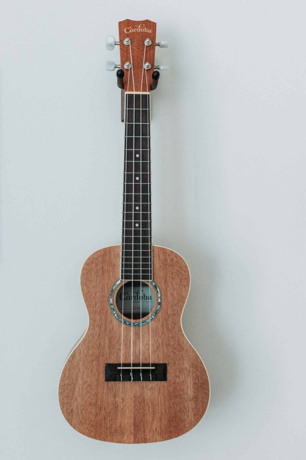 How to Use a Whammy Bar for Creative Guitar Expression – Palm Harbor Music
