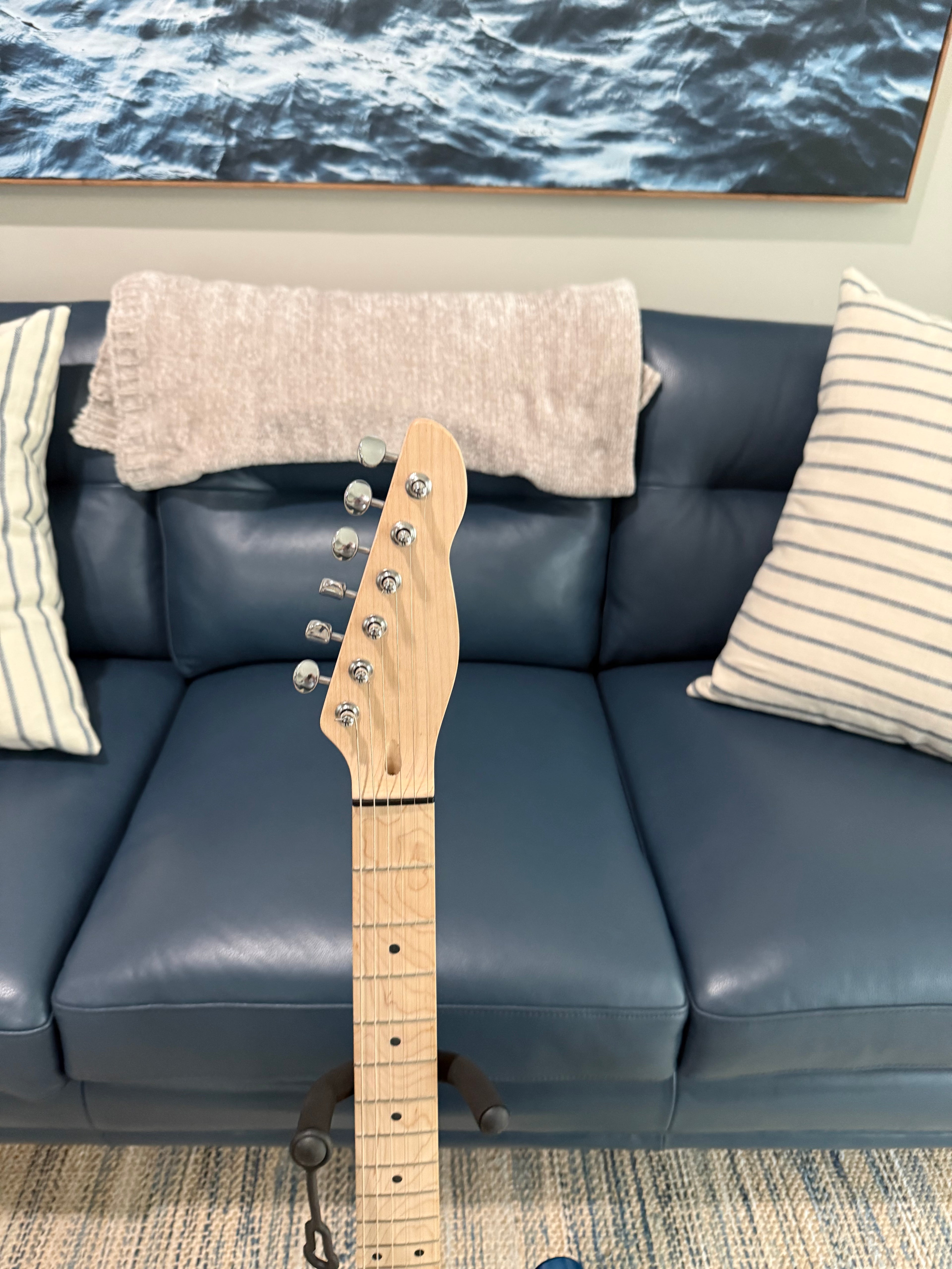 Custom Lake Placid Blue T-Style 2026 - Palm Harbor Music