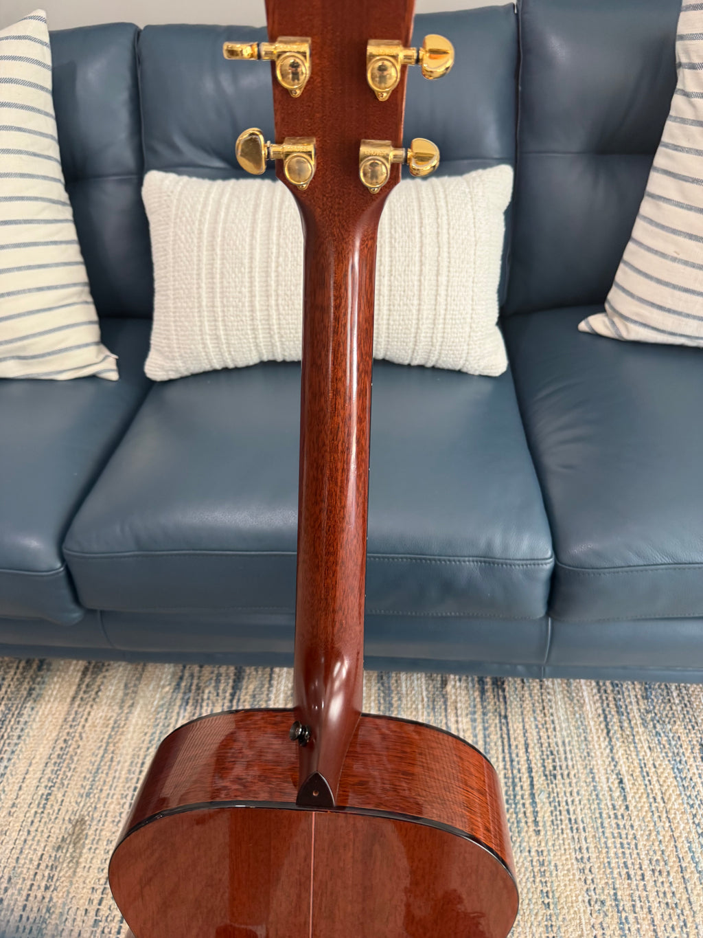 Taylor GM-AC Used