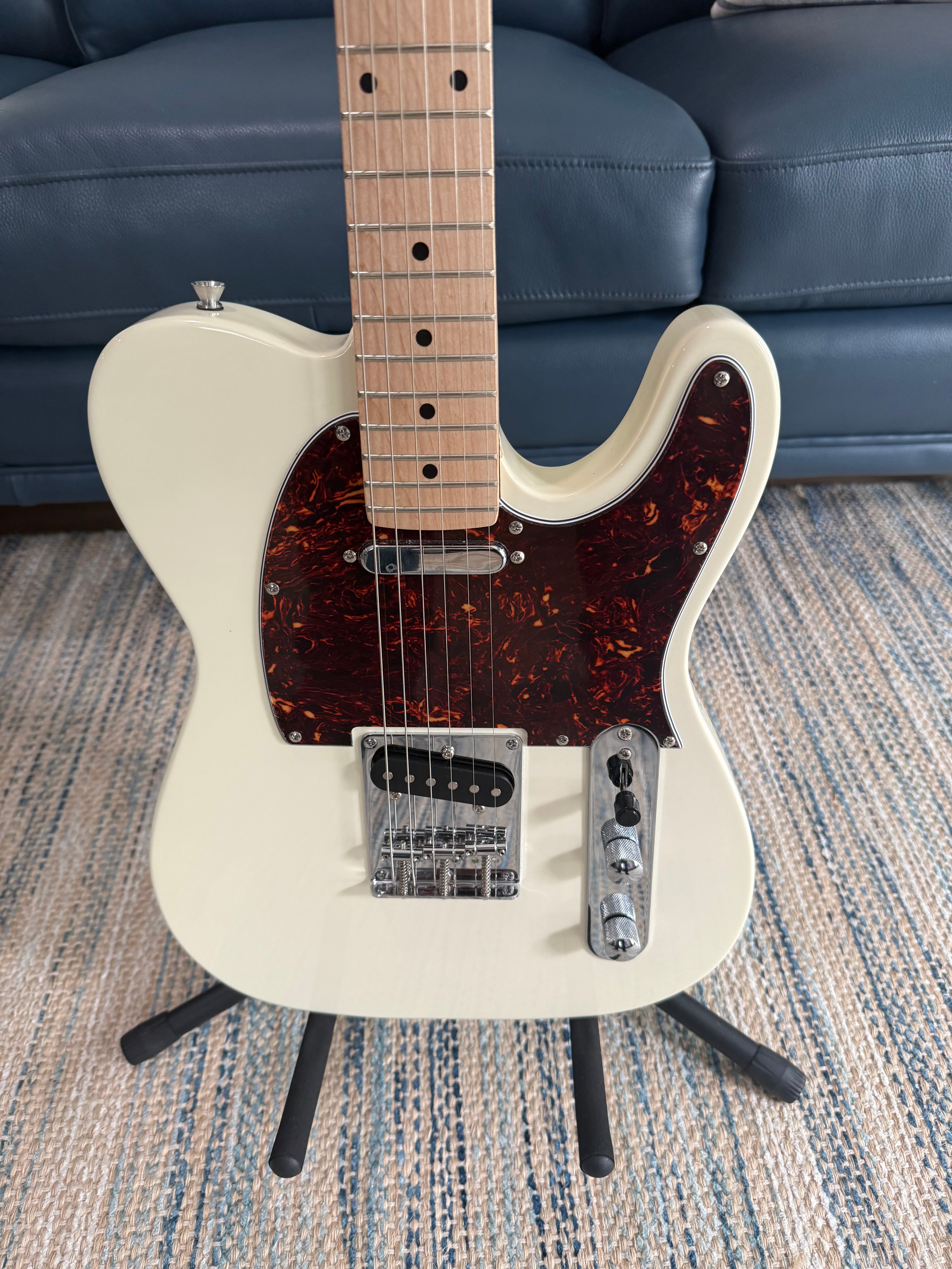 Nashville Guitar Works 120IV T-Style in Ivory - Palm Harbor Music