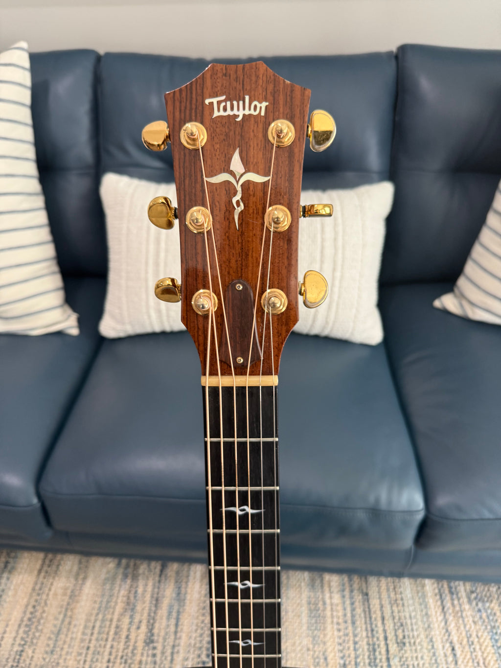 Taylor GM-AC Used