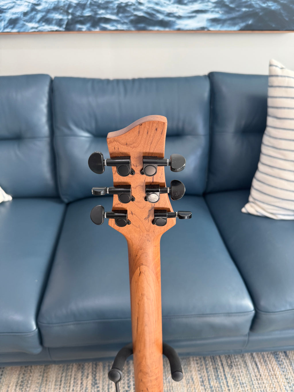 Tidecaster TLS Standard - Palm Harbor Music