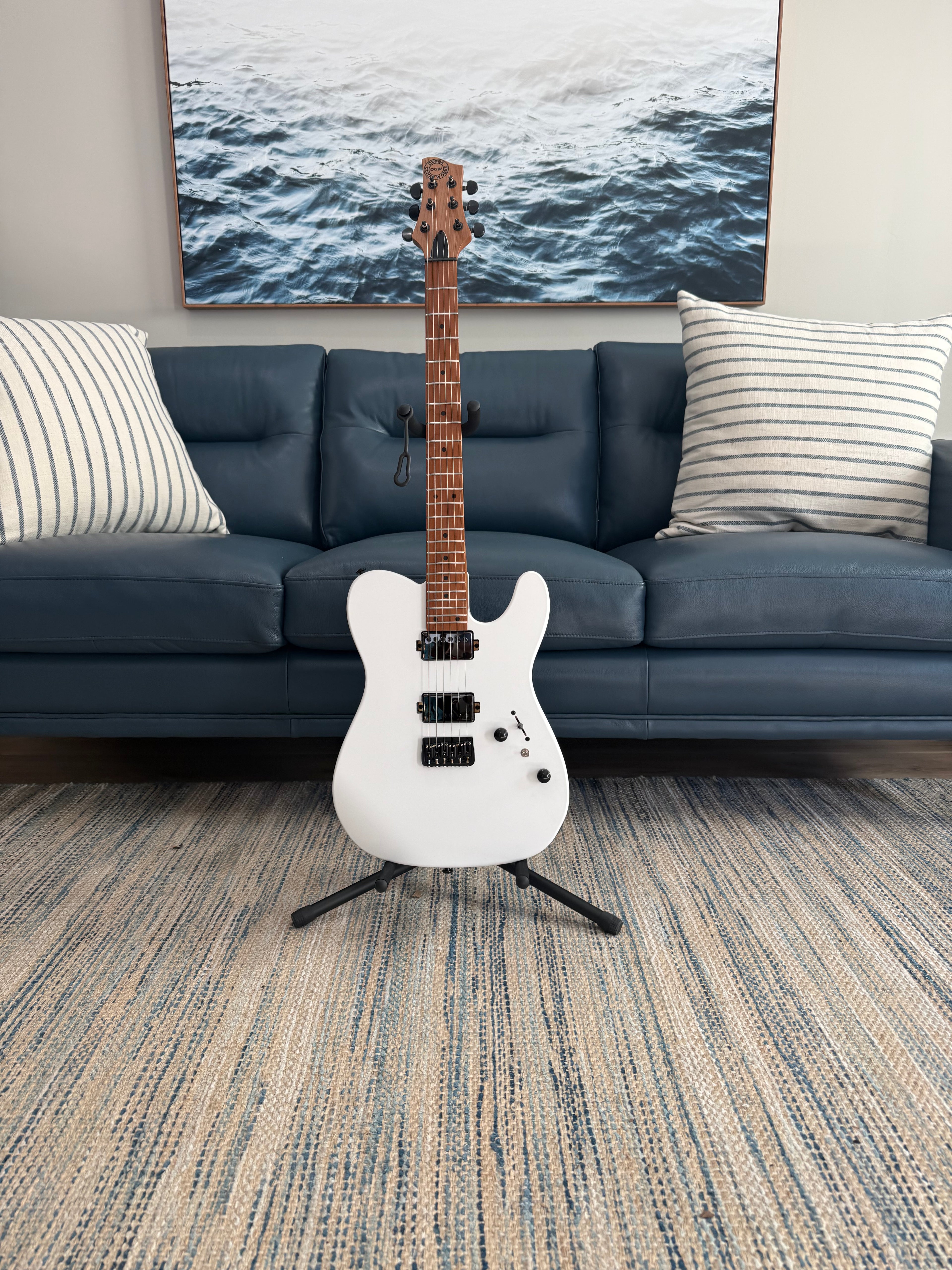 Tidecaster TLS Standard - Palm Harbor Music