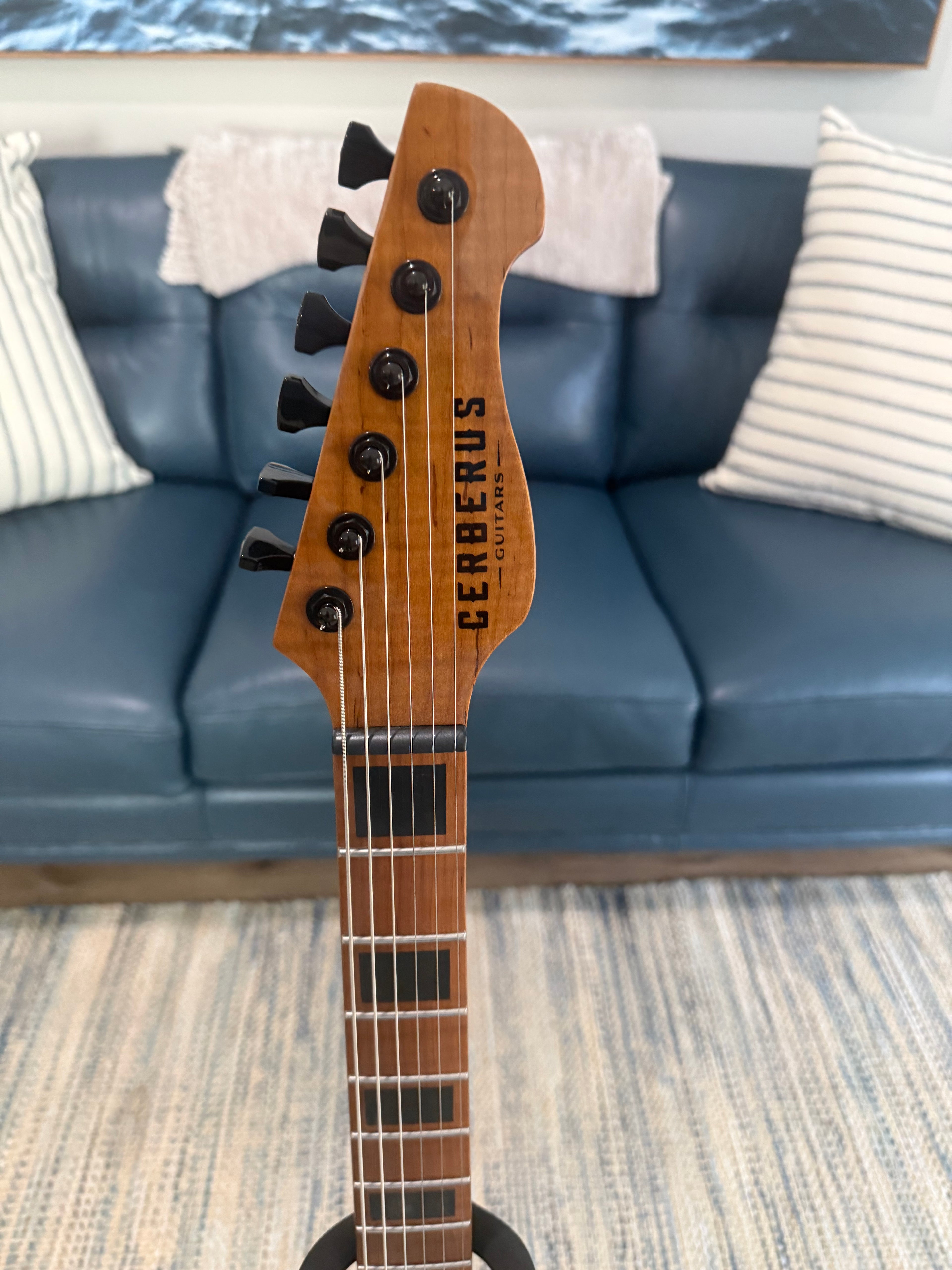 Cerberus Apollo 6 - Palm Harbor Music