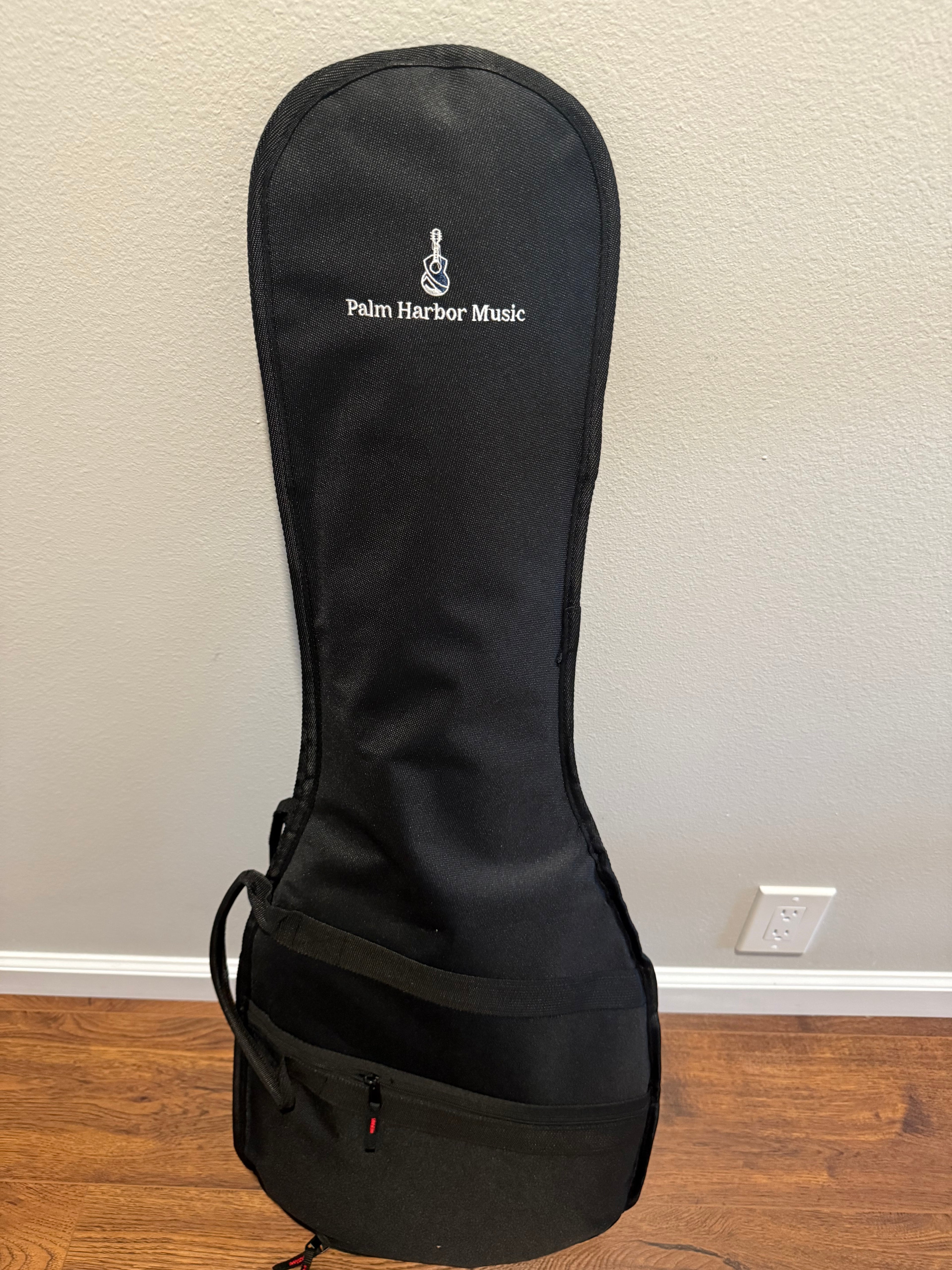Palm Harbor Economy Electric Guitar Gig Bag