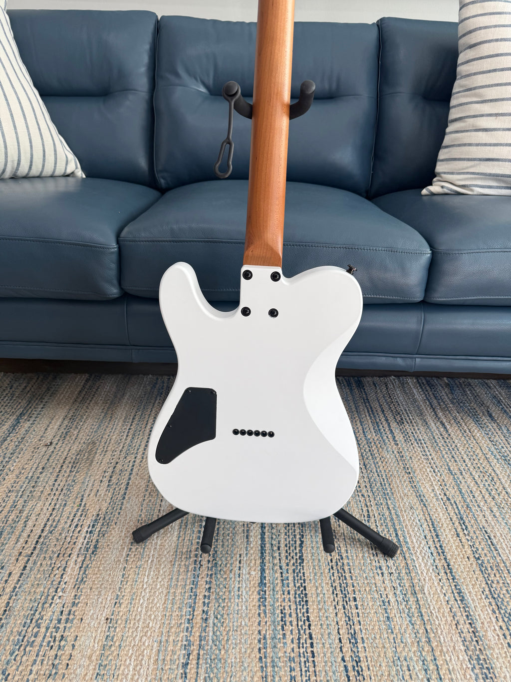 Tidecaster TLS Standard - Palm Harbor Music