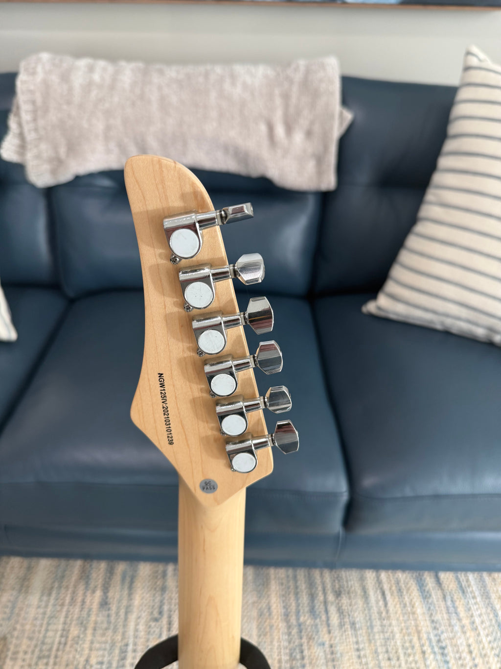 Nashville Guitar Works 120IV T-Style in Ivory - Palm Harbor Music