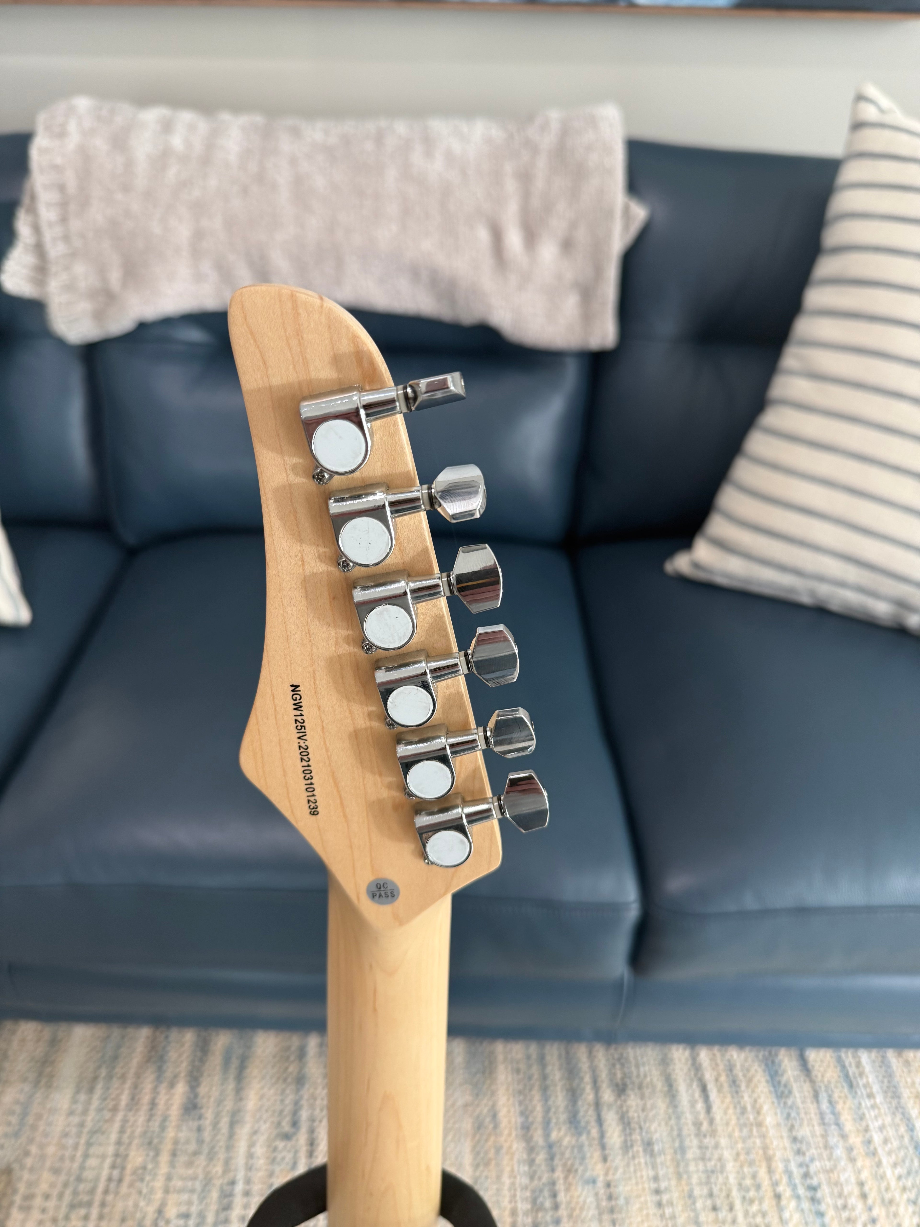 Nashville Guitar Works 120IV T-Style in Ivory - Palm Harbor Music