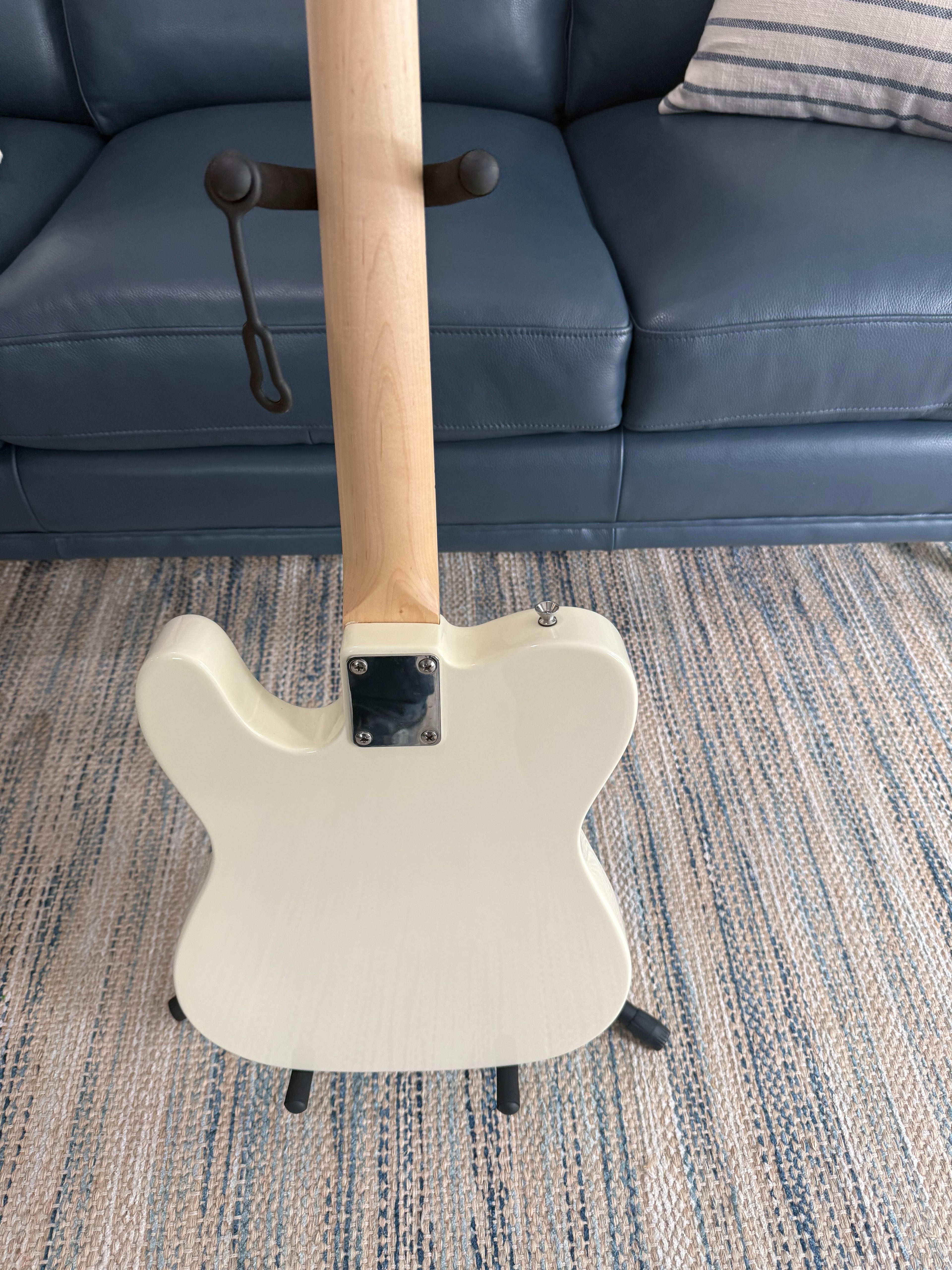 Nashville Guitar Works 120IV T-Style in Ivory - Palm Harbor Music