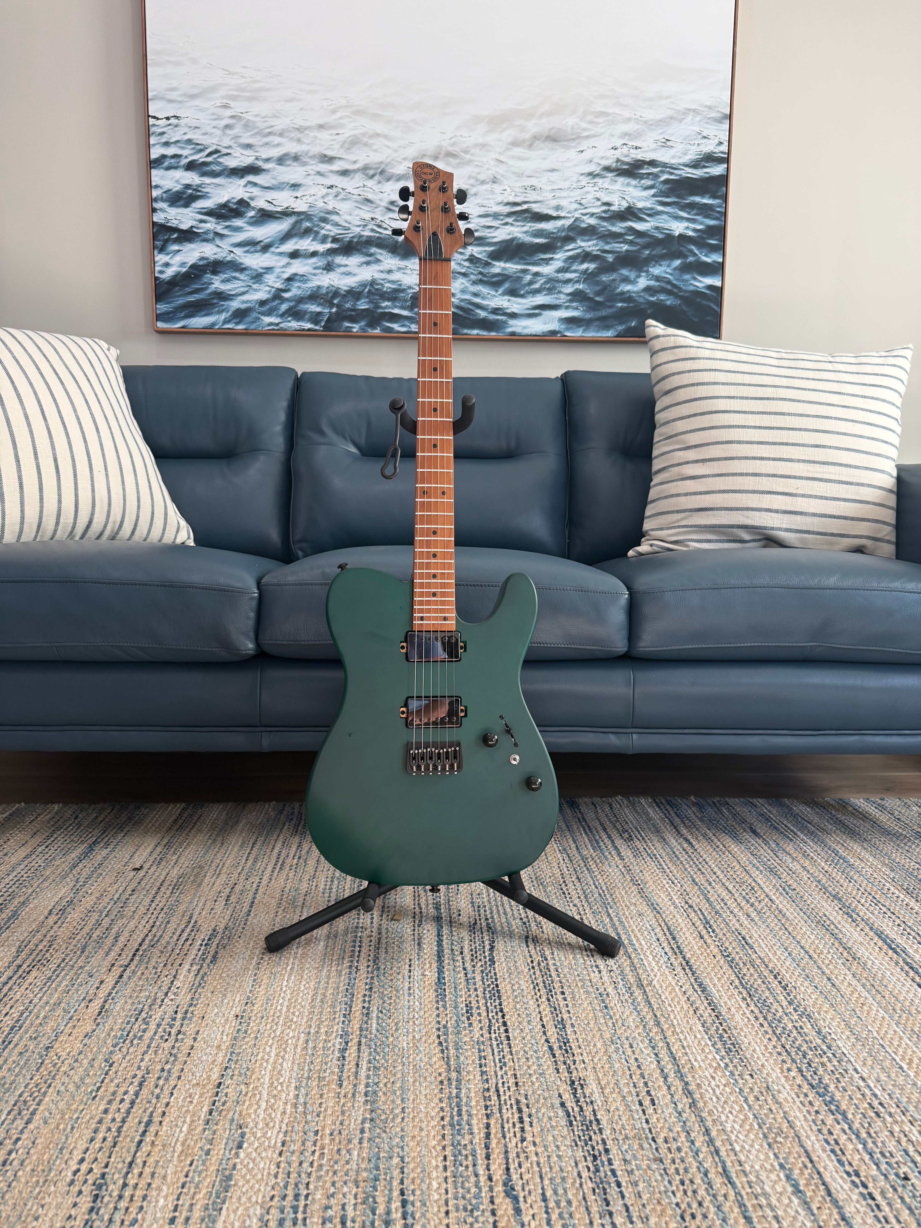 Tidecaster TLS Standard - Palm Harbor Music