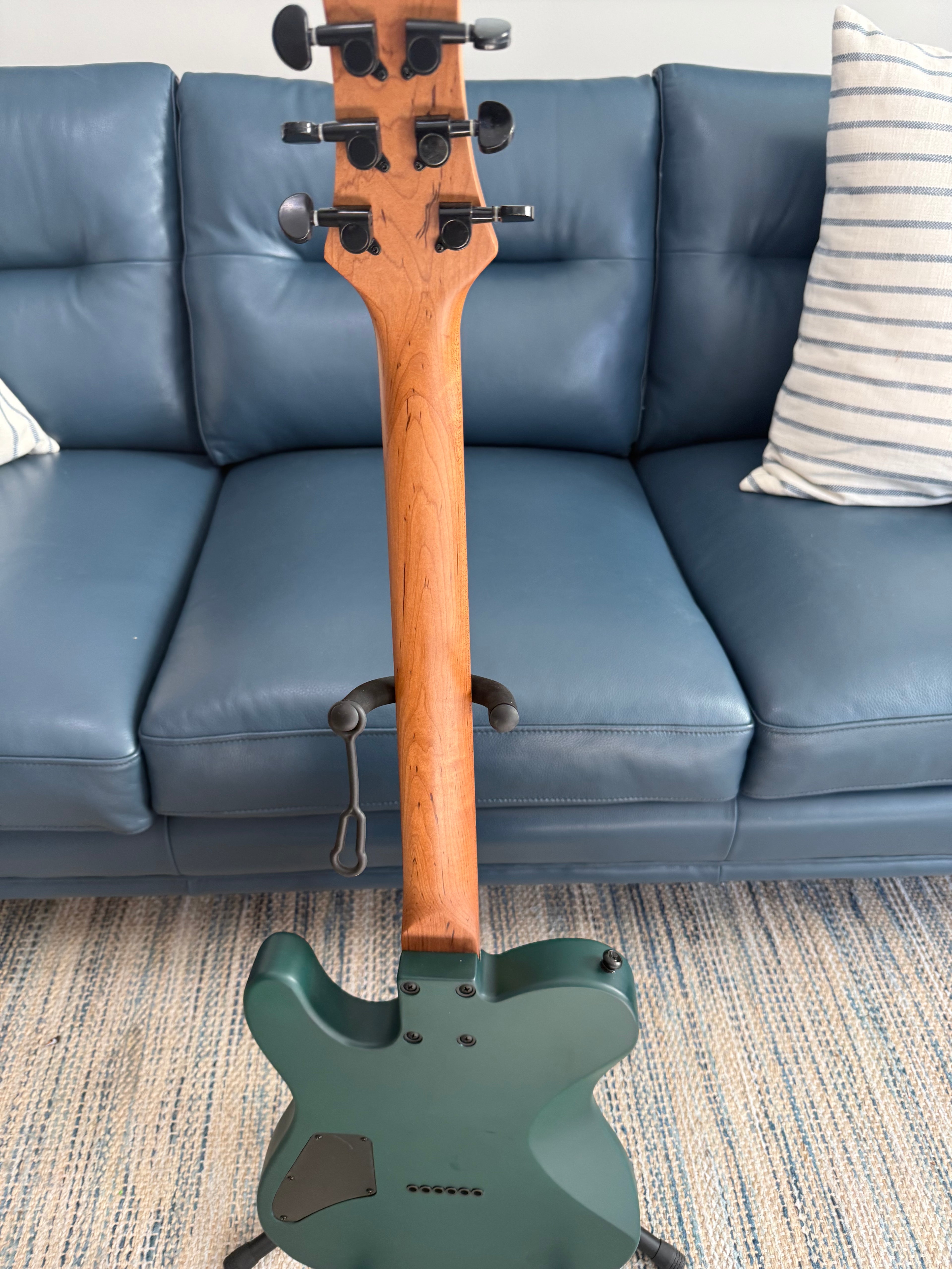 Tidecaster TLS Standard - Palm Harbor Music