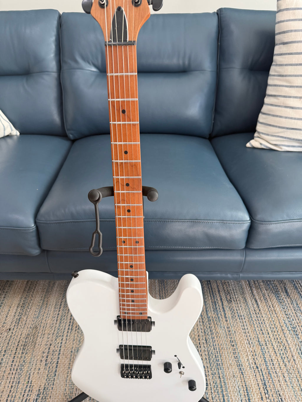 Tidecaster TLS Standard - Palm Harbor Music