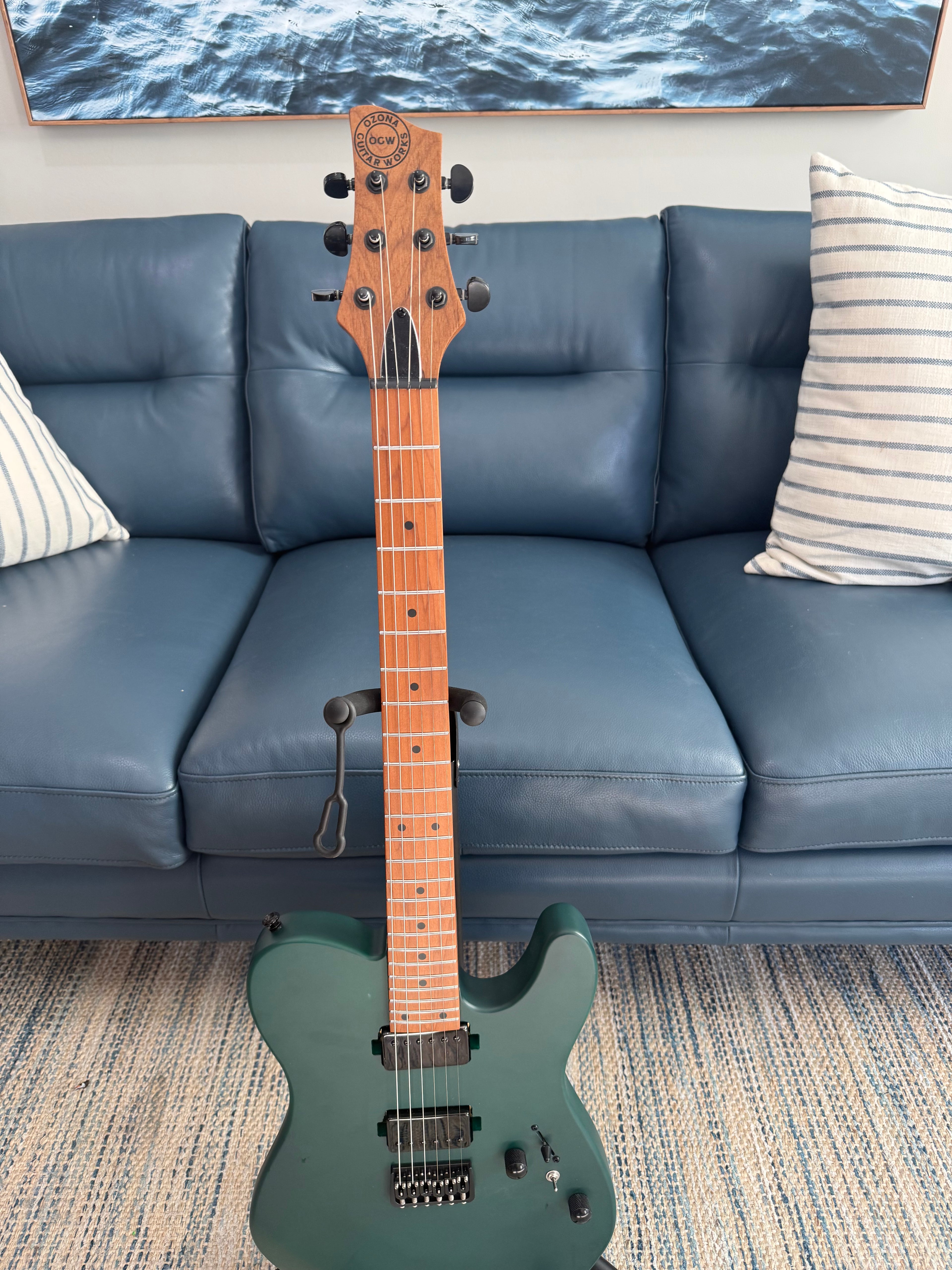 Tidecaster TLS Standard - Palm Harbor Music