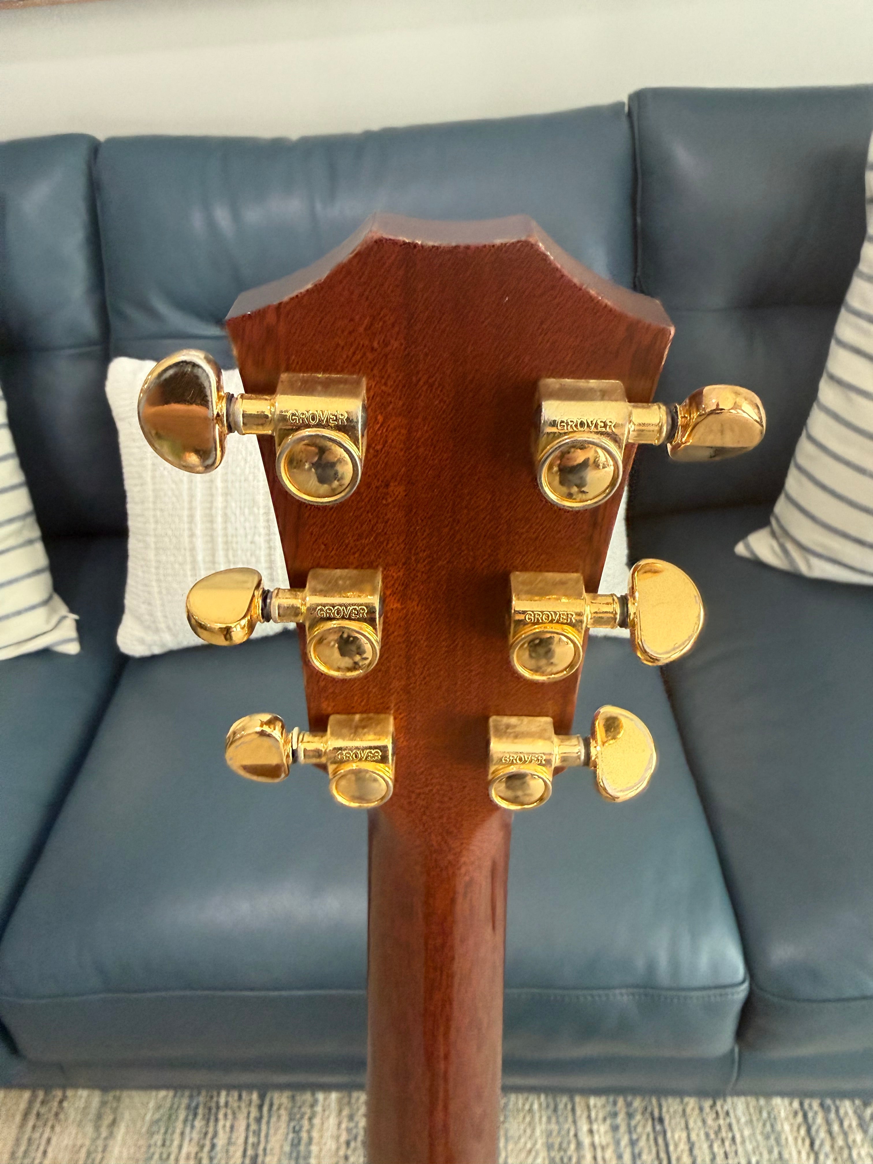 Taylor GM-AC Used