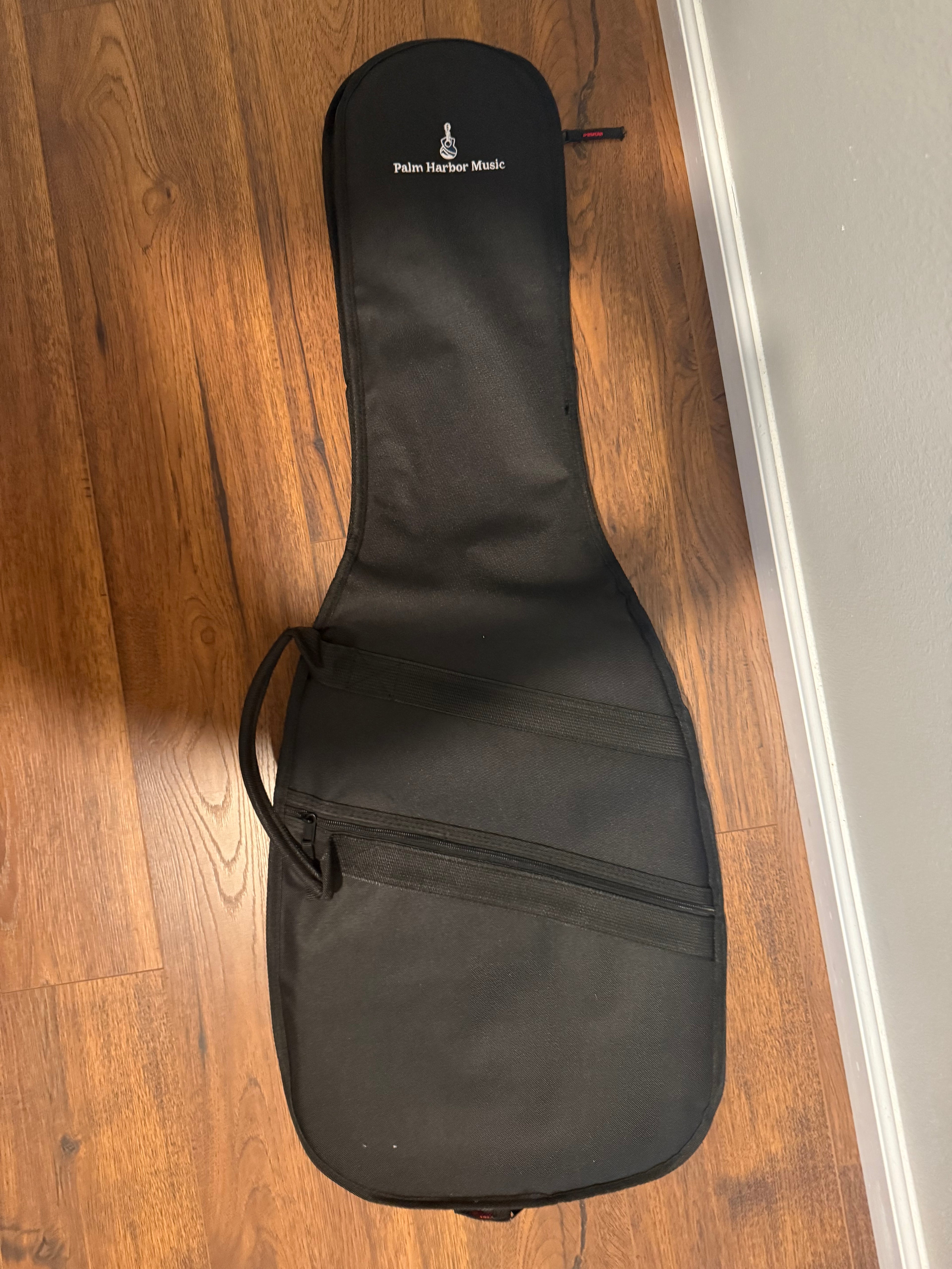 Palm Harbor Economy Electric Guitar Gig Bag