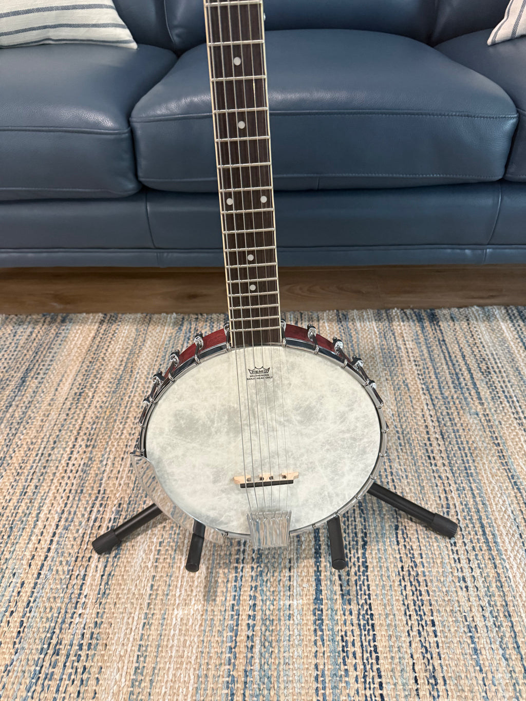 Washburn B6 Americana 6 String Banjo Used - Palm Harbor Music