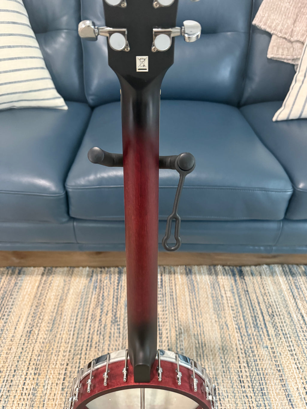 Washburn B6 Americana 6 String Banjo Used - Palm Harbor Music