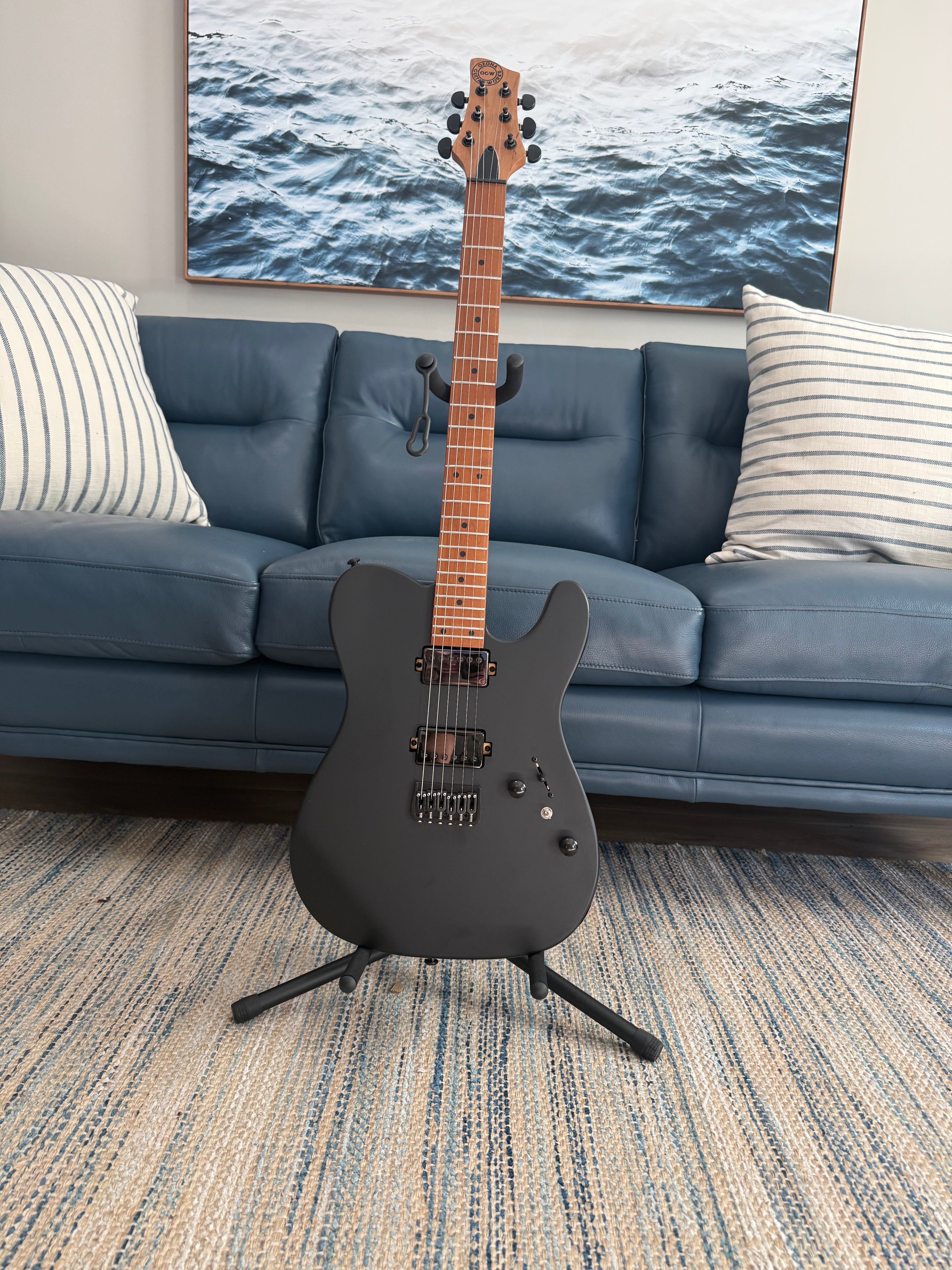 Tidecaster TLS Standard - Palm Harbor Music