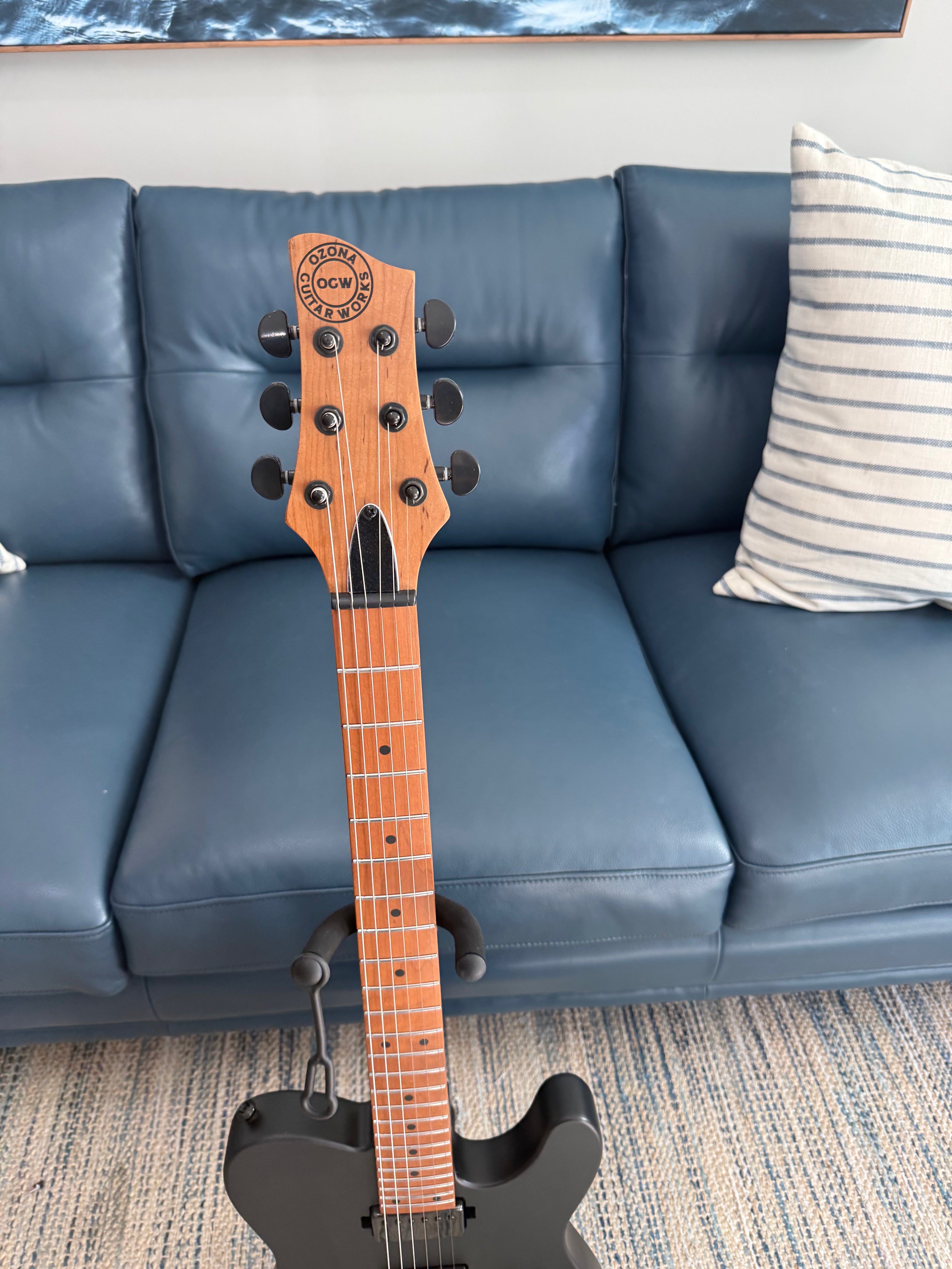 Tidecaster TLS Standard - Palm Harbor Music