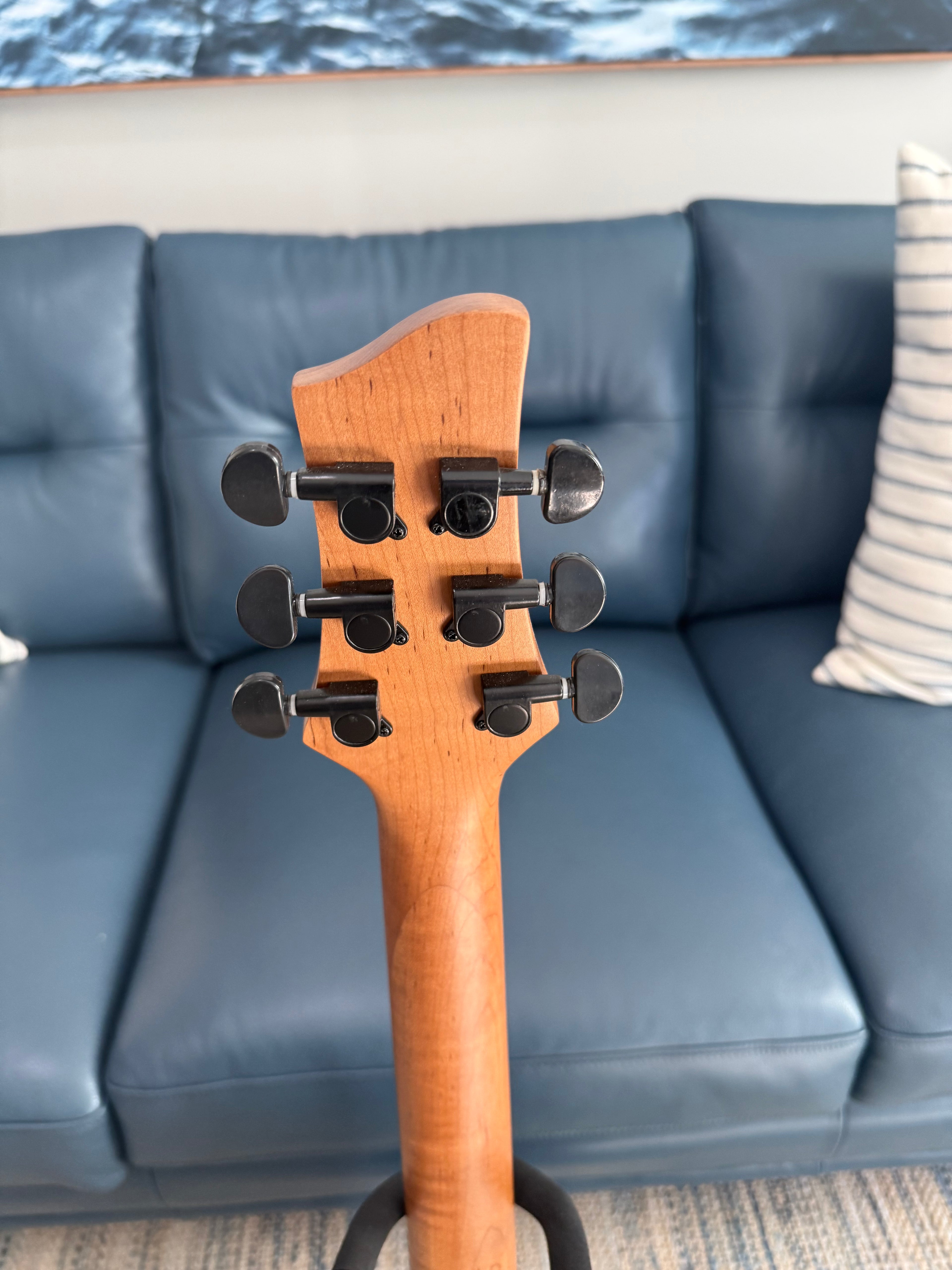 Tidecaster TLS Standard - Palm Harbor Music