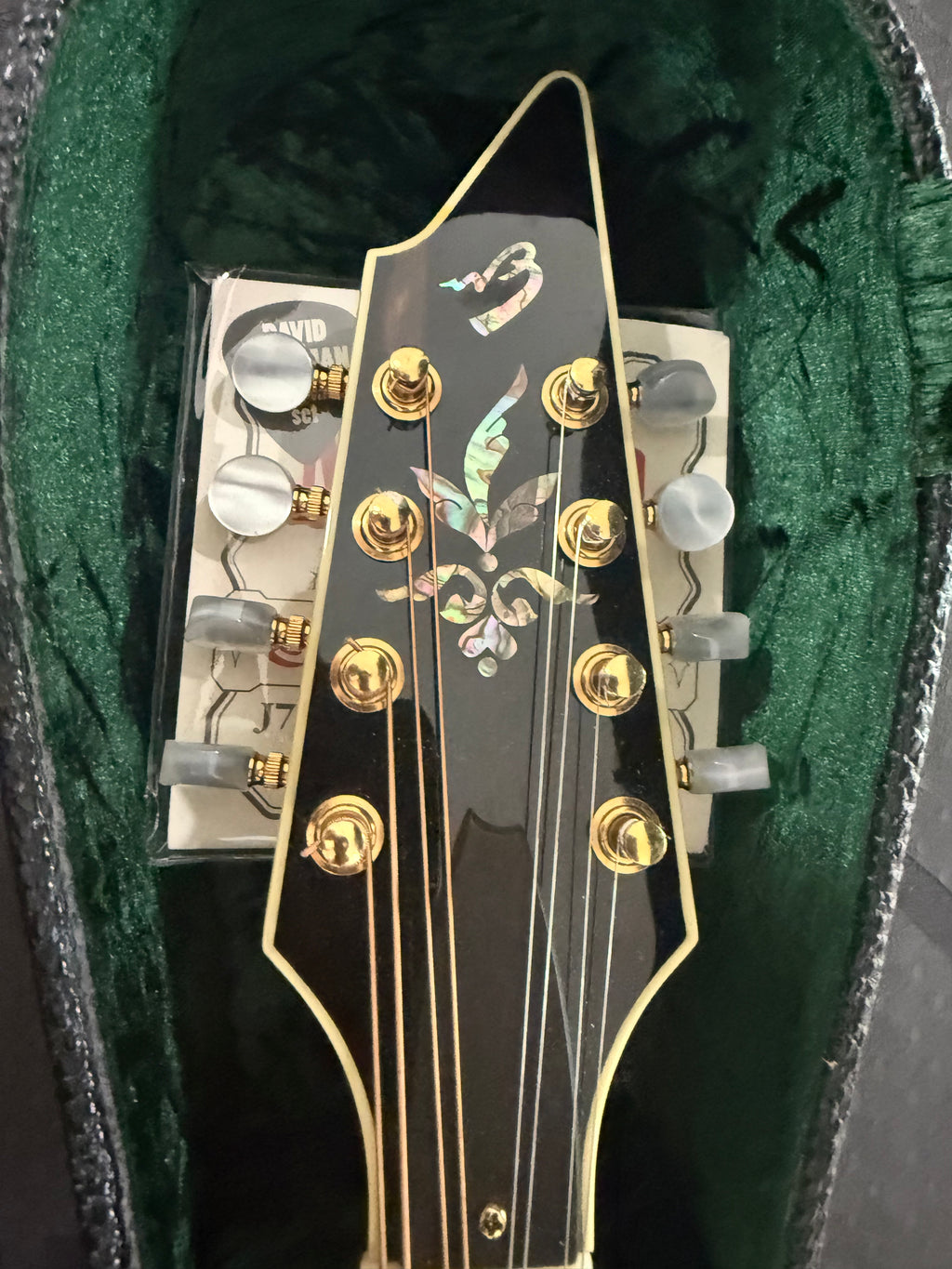 Breedlove Alpine Master Grade Mandolin Used